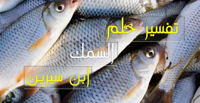 تفسير حلم السمك لابن سيرين عرب نيوز Arb News